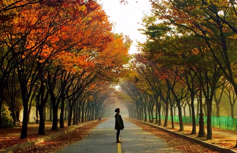 KakaoTalk_20160809_214335637