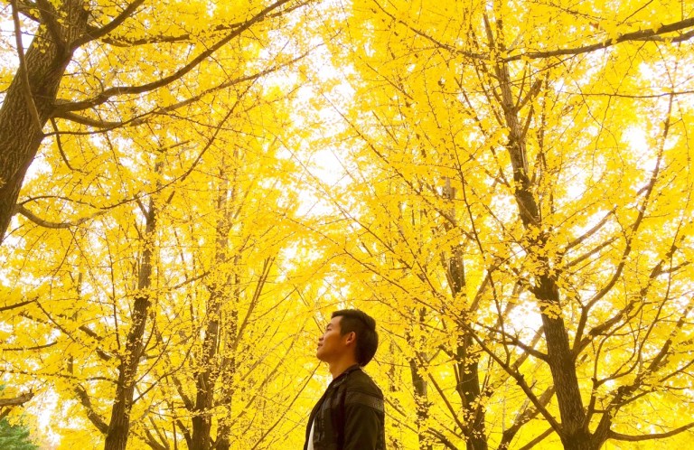 KakaoTalk_20160809_214406055