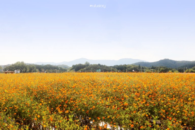 kakaotalk_20160914_214256451