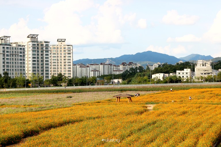 kakaotalk_20160914_214258866