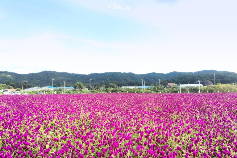 kakaotalk_20160914_214300328