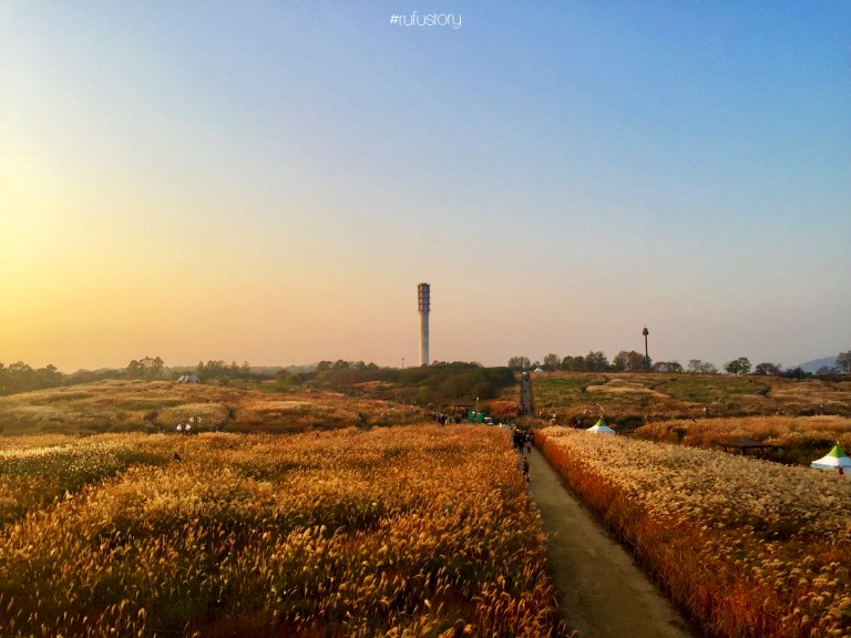 kakaotalk_20161014_151516068