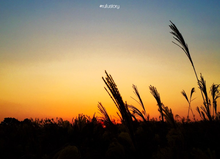 kakaotalk_20161014_151516487