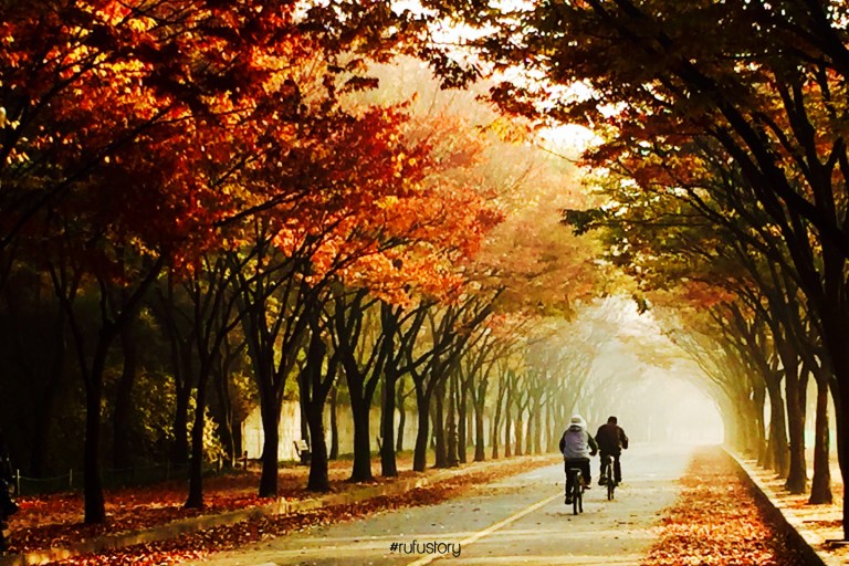 kakaotalk_20161019_225442552