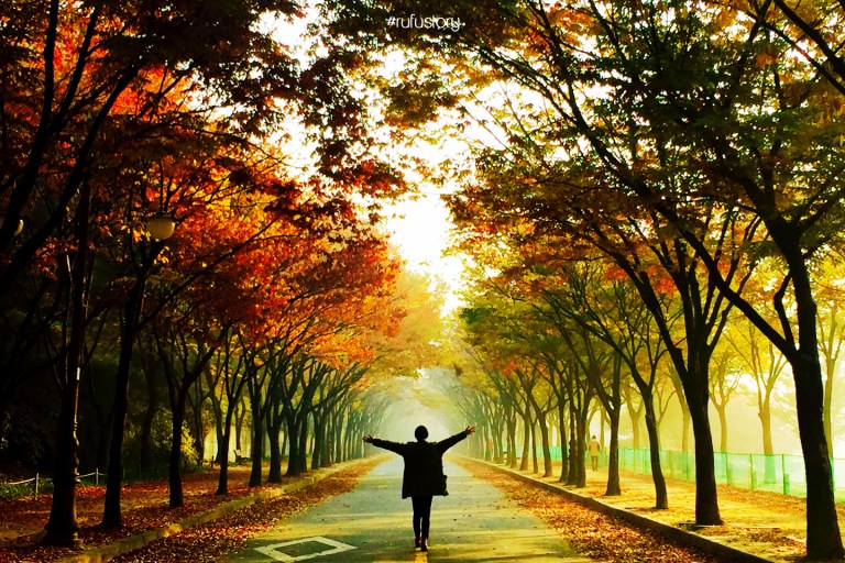 kakaotalk_20161019_225443384