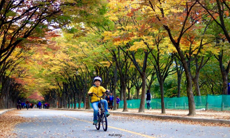 kakaotalk_20161024_214551077