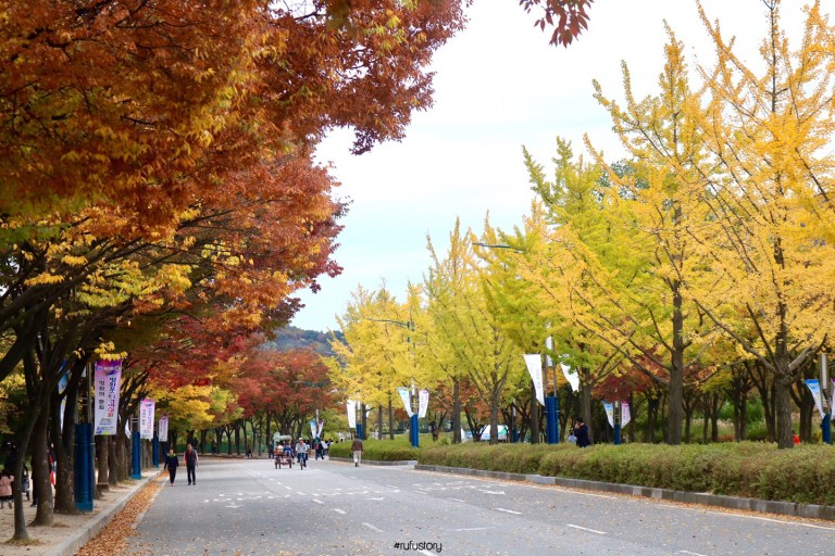 kakaotalk_20161024_214553722