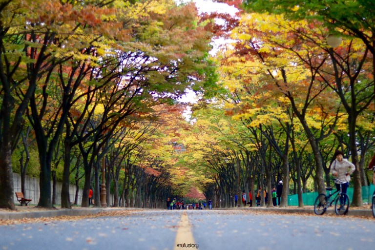 kakaotalk_20161024_214554962