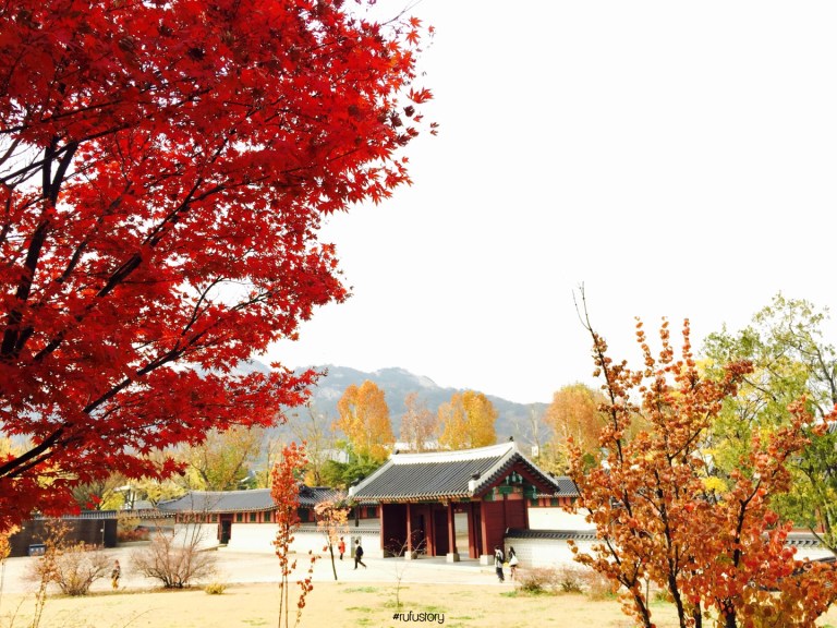 kakaotalk_20161102_114936967