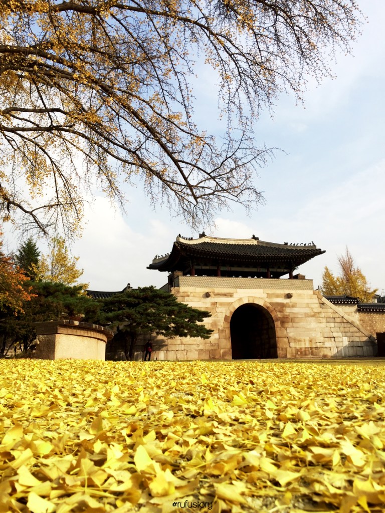 kakaotalk_20161102_230405109