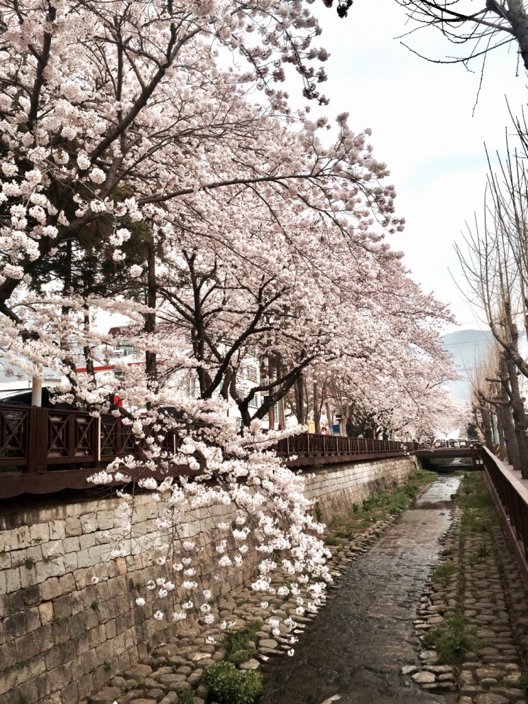 KakaoTalk_20170316_161544529