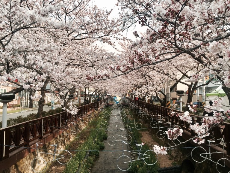 KakaoTalk_20170316_161545327