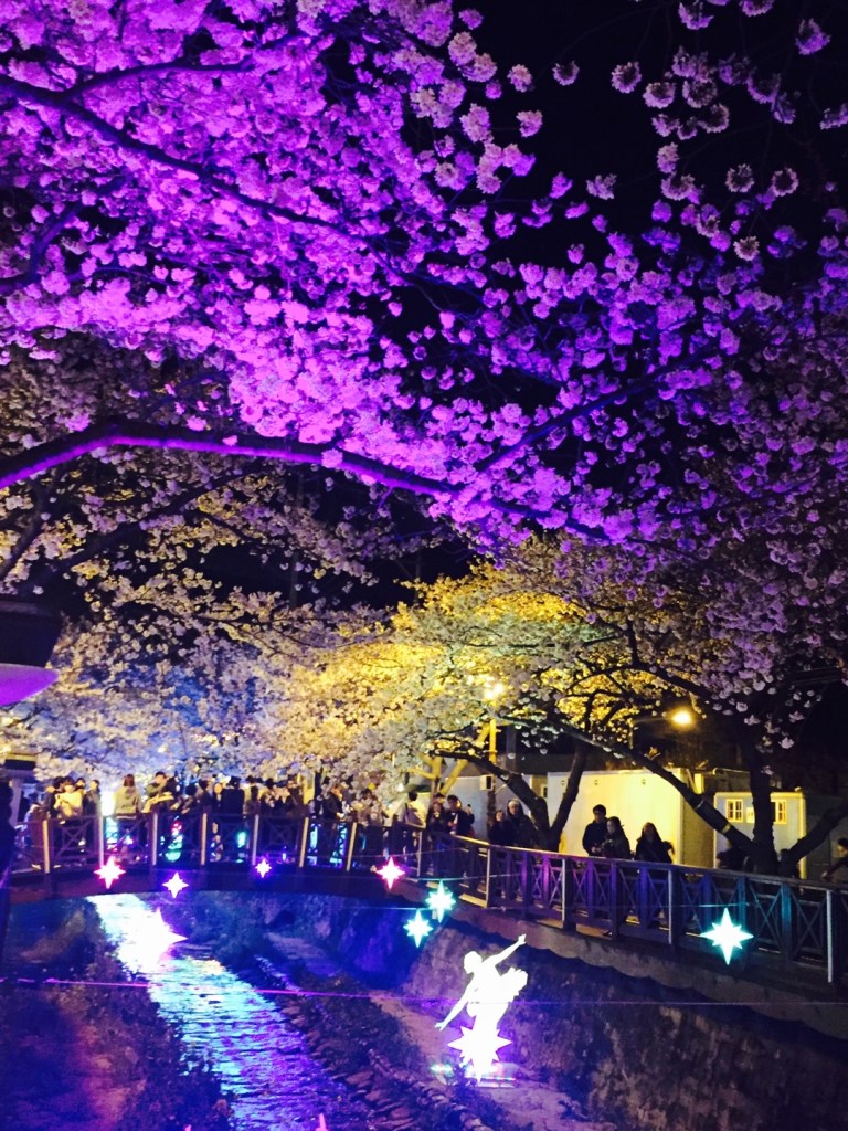 KakaoTalk_20170316_161545589