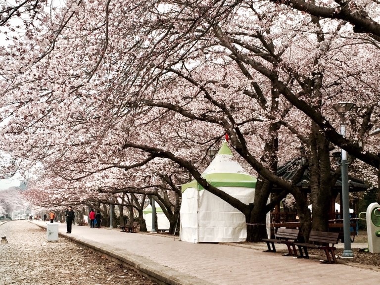 KakaoTalk_20170316_161546666