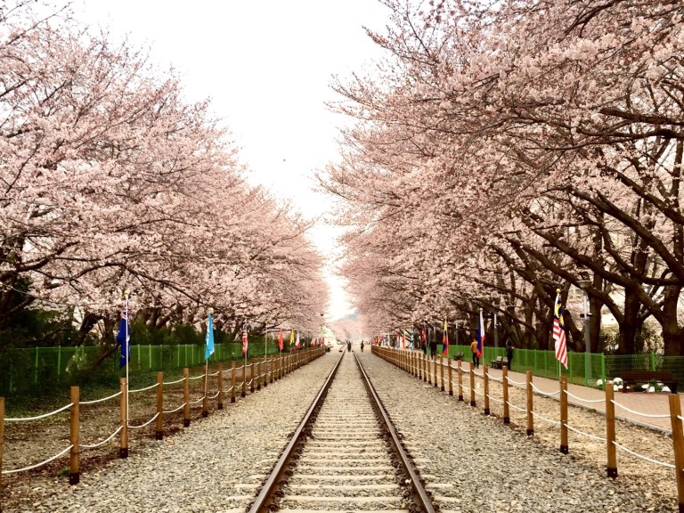 KakaoTalk_20170316_161547076